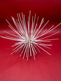 Caledonia Deep Water Urchin with Spines 6" – Coelopleurus maculatus